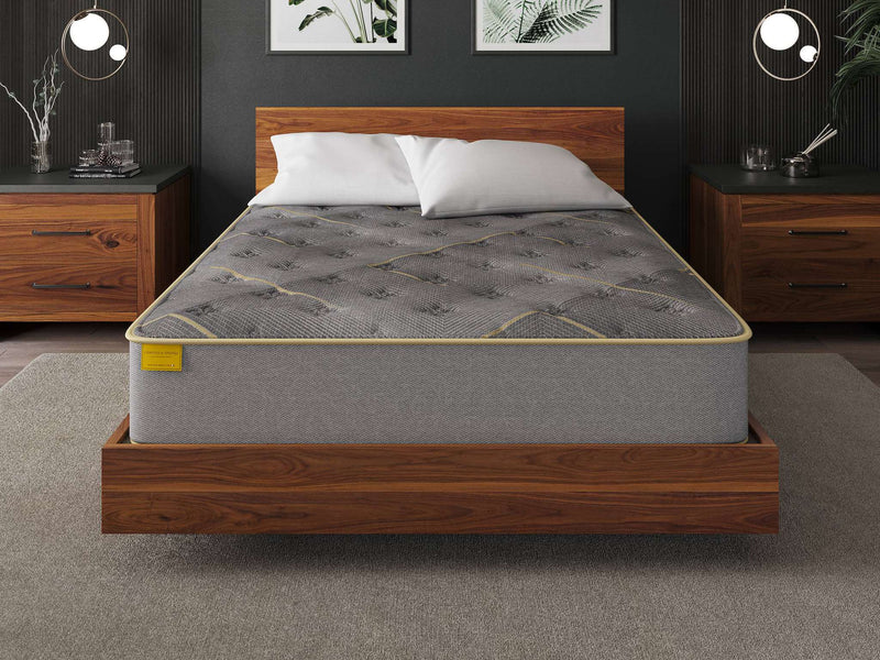 Premium Gold Collection