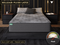 Belleair Plush